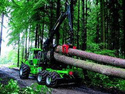 Запчасти для NOE NF160-6R (агрегат Woody 50)