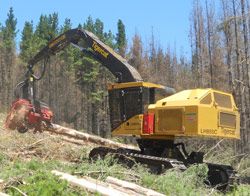 Ремонт харвестера (лесозаготовительный комплекс) Tigercat LH855C