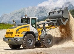 Запчасти для LIEBHERR L 546
