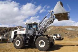 Запчасти для TEREX-SCHAEFF TL 450