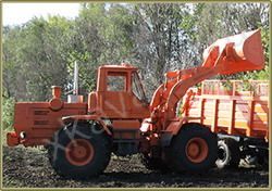 Ремонт фронтального погрузчика (колесные) ХТЗ T-156Б-09