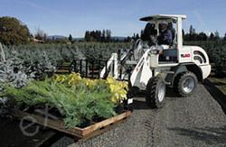 Запчасти для TEREX-SCHAEFF TL60 (SKL 814)