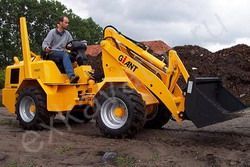 Ремонт фронтального мини-погрузчика GiANT D491