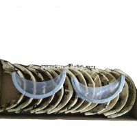Оригинальный Cummins CCEC kta19 Коренной подшипник распределительного вала AR12270