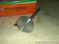 495B-03015 клапан ex xinchai запасные части