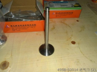 495B-03014 Клапан xinchai в