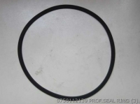 0750112139 Проф.УПЛОТНИТЕЛЬНОЕ КОЛЬЦО ZF