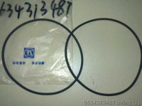 0634313487 уплотнительное кольцо ZF