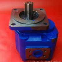 9F650-56A010000A0 ШЕСТЕРЕННЫЙ НАСОС 9F10-590500 CBGJ3100A