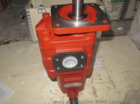 W-01-00033 ШЕСТЕРЕНЧАТЫЙ НАСОС CHANGLIN
