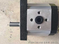 FT304.58l.010 ШЕСТЕРЕННЫЙ НАСОС