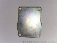 Крышка насоса H02B.110.001