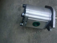 ШЕСТЕРЕННЫЙ НАСОС CBF-F425-ALPL