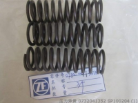 0732041352 ПРУЖИНА SP100204