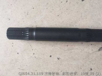 Штырь QJ654.31.119
