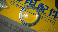29250007591 рукав SDLG