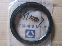 53100007 W44002043 САЛЬНИК