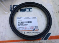SP100215 САЛЬНИК 0734309422 ZF