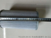 TG1254.96-01 ФИЛЬТРУЮЩИЙ ЭЛЕМЕНТ ДЕТАЛИ ТРАКТОРА LOVOL