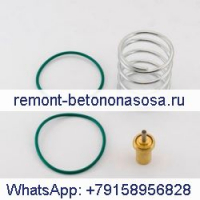 Комплект сервисного термостатического клапана воздушного компрессора 2205490593 для Atlas Copco