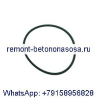 Уплотнительное кольцо 0663210658 для воздушного компрессора Atlas Copco