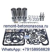 Комплект для капитального ремонта двигателя Kubota D950 D950B Bobcat Loader 553 543 543B 543C
