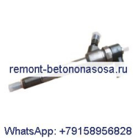 Инжектор Common Rail 0445110291 для Bosch BAW Fenix CA4DC2-10E3 1044 1065 евро 3