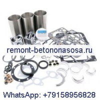 Комплект для капитального ремонта двигателя Yanmar 3TNV88 CASE Экскаватор CX31 CX31B CX36 CX36B
