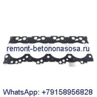 Прокладка головки блока цилиндров 2830919 для CASE 440 450 445 465 430 586G 588G 650K 580M TX1055