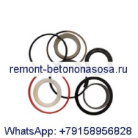 Комплект уплотнений гидравлического цилиндра 1986920C2 для погрузчика CASE 921 921B 921C