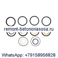 Комплект уплотнений гидравлического цилиндра 1543312C1 для CASE 1450 1450B 1550 W18 W26 880 880B