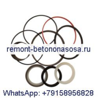 Комплект уплотнений гидравлического цилиндра 1542915C2 для погрузчика CASE 580K 580SK 580SL 580SM
