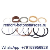 Комплект уплотнений поворотного цилиндра 122535A1 1701-1320 для CASE 570LXT 580L 580M 580N 580SL 580SM 580SM+ 590L 590SL 590SM 590SM+ 590SN