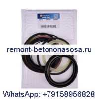 Комплект уплотнений цилиндра стрелы LZ00451 для экскаватора CASE CX160 CX180