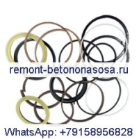 Комплект уплотнений цилиндра смещенной стрелы LZ00456 для экскаватора CASE CX135SR