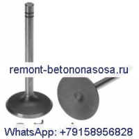 Комплект из 2 впускных клапанов 1007860 для двигателя Caterpillar CAT 3304 3306, экскаватора 235B 330 350 W330B в США