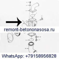Для насоса морской воды Cummins Engine QSL9 6C 3964765 3897691 5265996