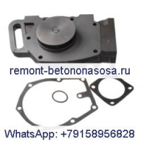 Водяной насос 3022474 3801708 3022479 3051408 3004923 3018428 для Cummins