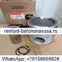 Комплект поршня 3631241 для двигателя Cummins KTA19 KTA38 QSK19 QSK38 со штифтом