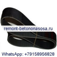 Поликлиновой ремень 3289135 для Cummins серии B