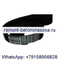 Поликлиновой ремень 3681636 для двигателя Cummins QSX15 ISX15