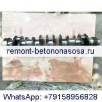 Коленвал 3073707 для двигателя Cummins 661 M11 L10 в США