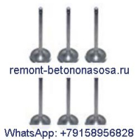 6 шт. выпускной клапан 3901607 для двигателя Cummins 4B 4BT 4BTA 6B 6BT 6BTA в США