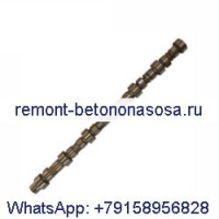 Распредвал 3907824 3970366 3283179 для двигателя Cummins 6B 6BT 6 цилиндров в США