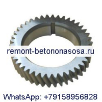 Шестерня коленчатого вала 3918776 для двигателя Cummins 8.3L 6CT 6CTA в США