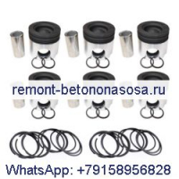 Поршень и усилитель; Комплект поршневых колец 3966721 для двигателя Cummins 6CT ISC ISL QSL