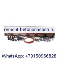 Комплекты верхних прокладок DS-4025271 для двигателя Cummins C8.3
