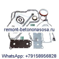 Комплект нижних прокладок 3800558 для двигателя Cummins 6C 6CTA ISC QSC C8.3