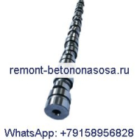 Распредвал 3066880 для двигателя Cummins K19