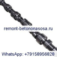 Распредвал 3066882 для двигателя Cummins K19
